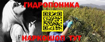 сатива Бузулук