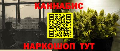 шишки Будённовск