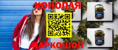 шишки Будённовск