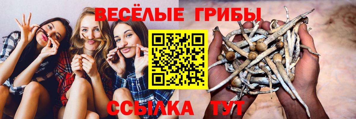 Псилоцибиновые грибы GOLDEN TEACHER  Галлюциногенные грибы GOLDEN TEACHER  Вход с VPN  Тейково 