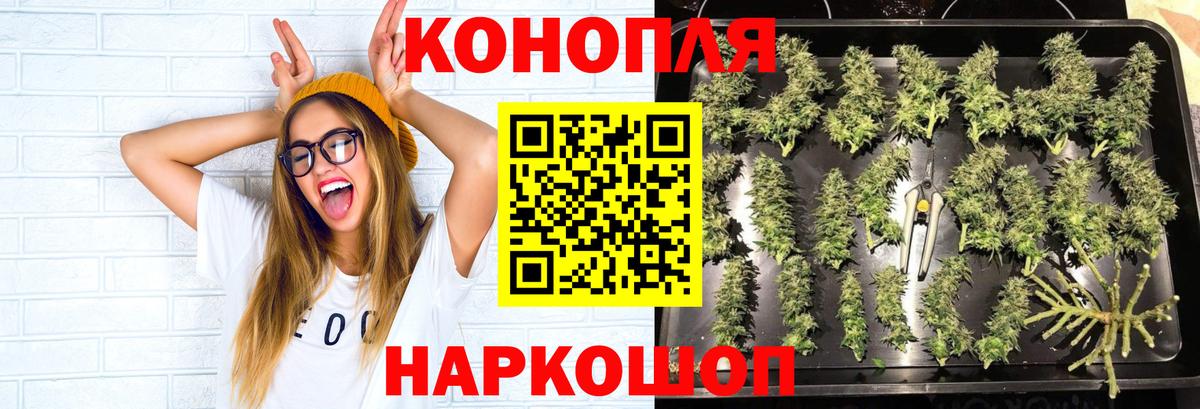 Бошки марихуана Bruce Banner  Вход с VPN  Бошки марихуана гибрид  МАРИХУАНА гибрид  Тейково 